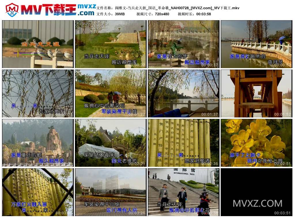 阎维文-当兵走天涯_国语_革命歌_NAH00728